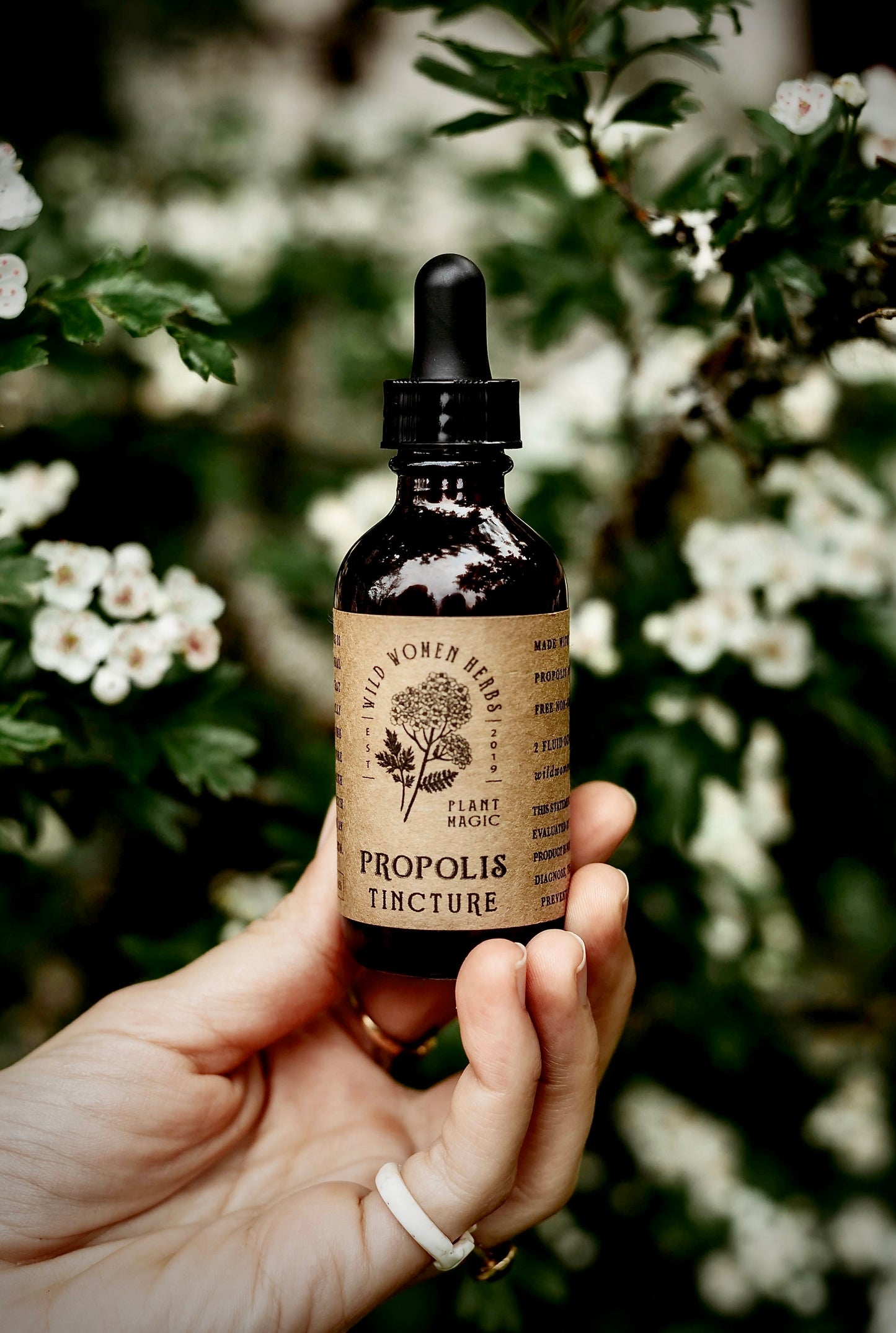 Propolis Extract