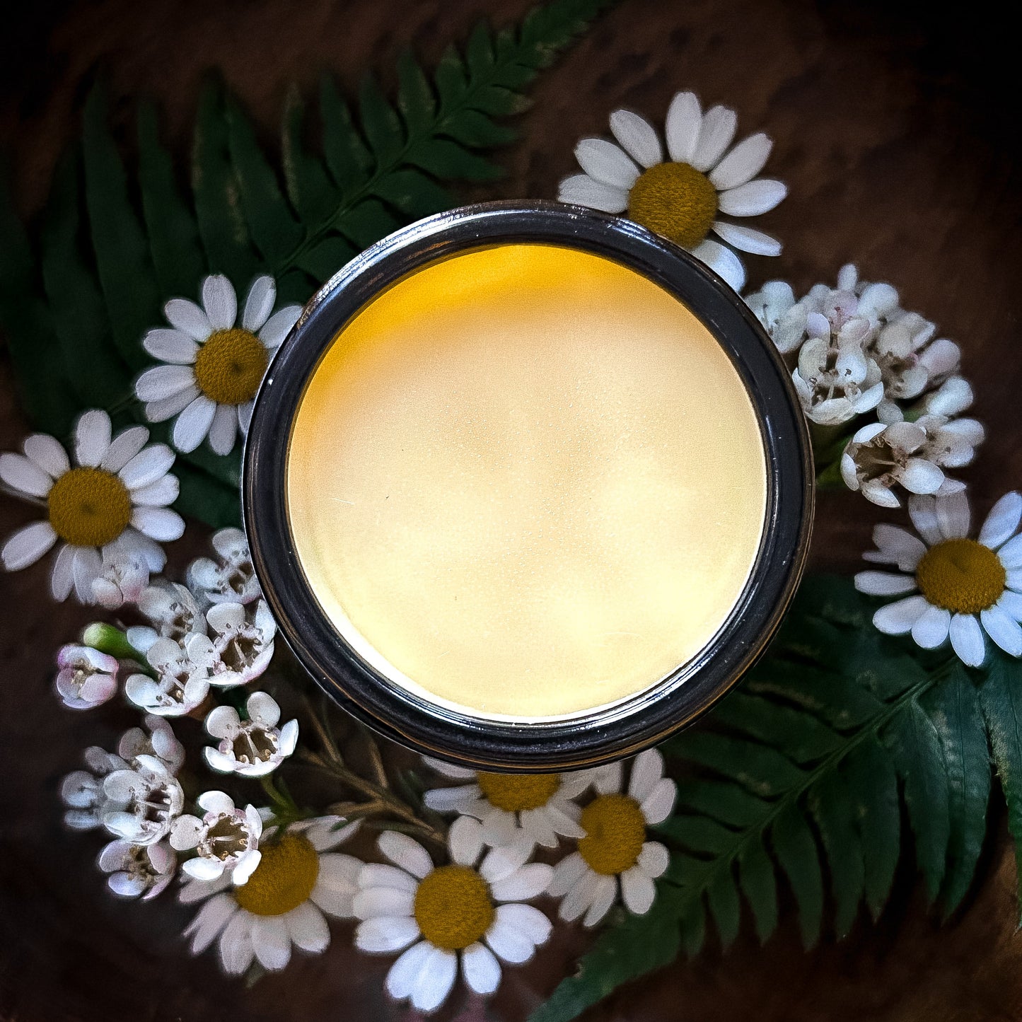 Forest Healer Salve