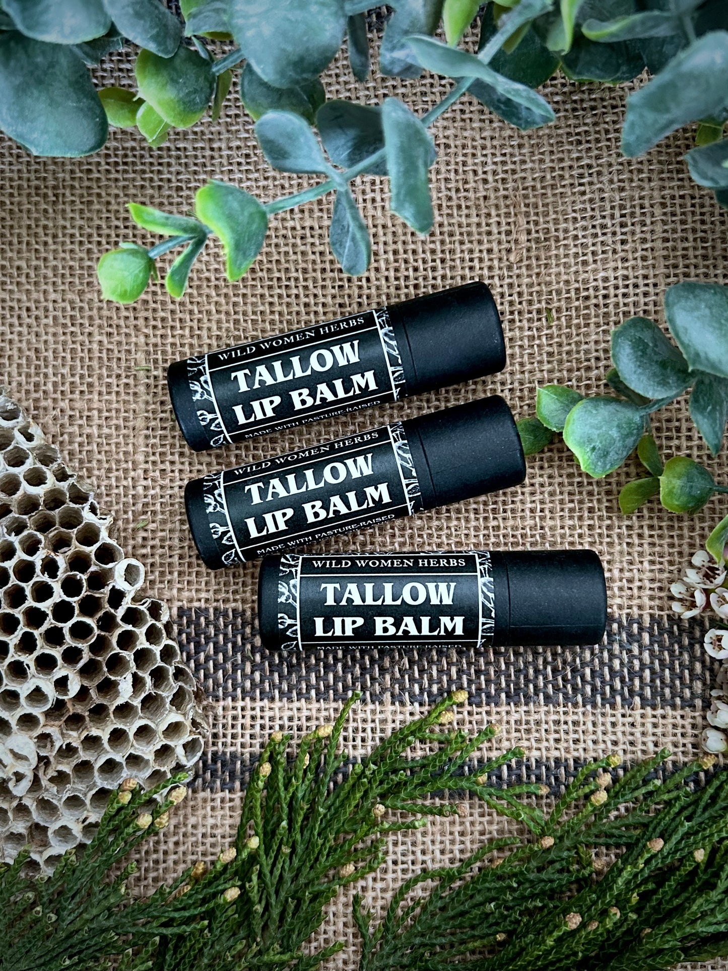 Tallow Lip Balm