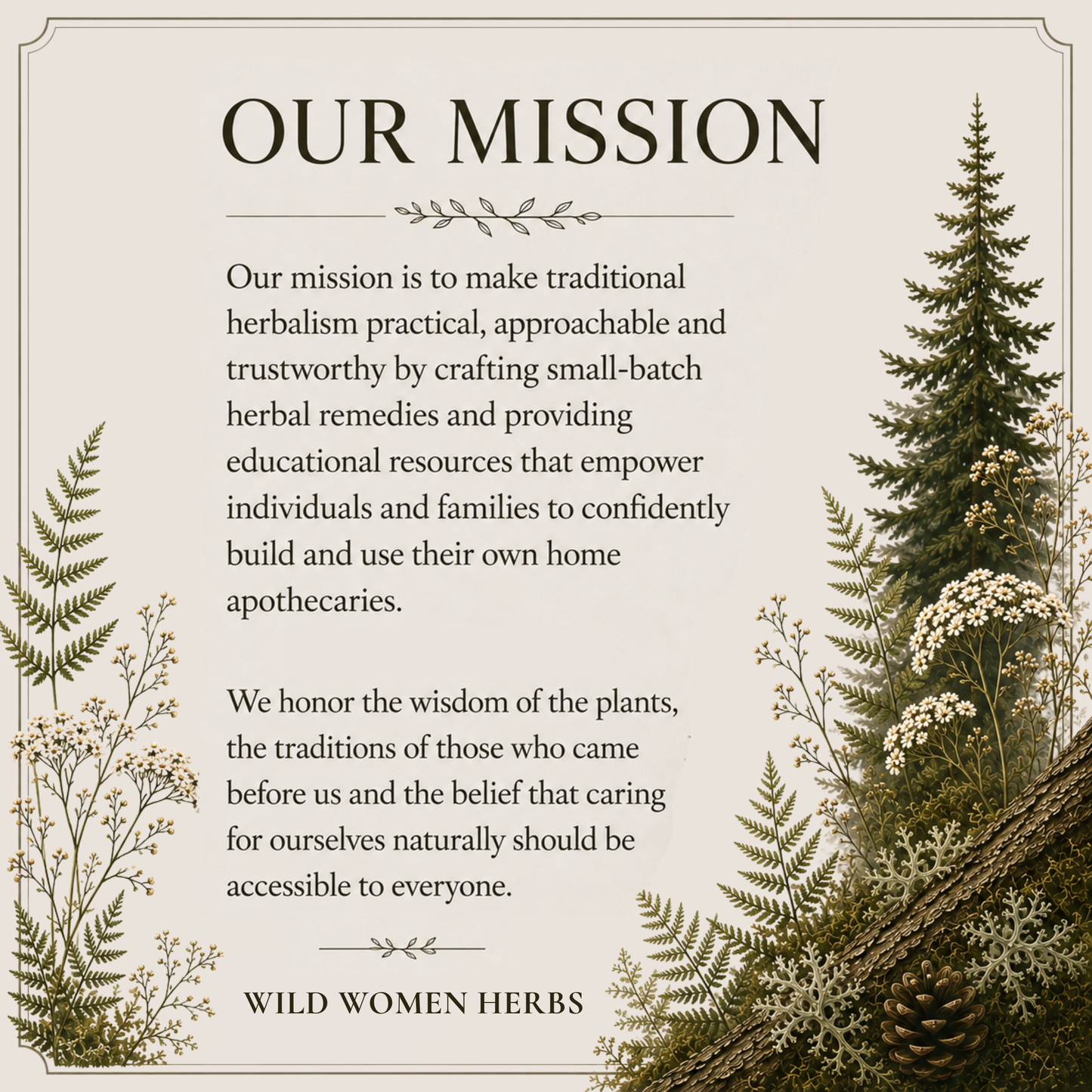 Wildcrafted Elderberry Syrup for Immune Support & Seasonal Wellness