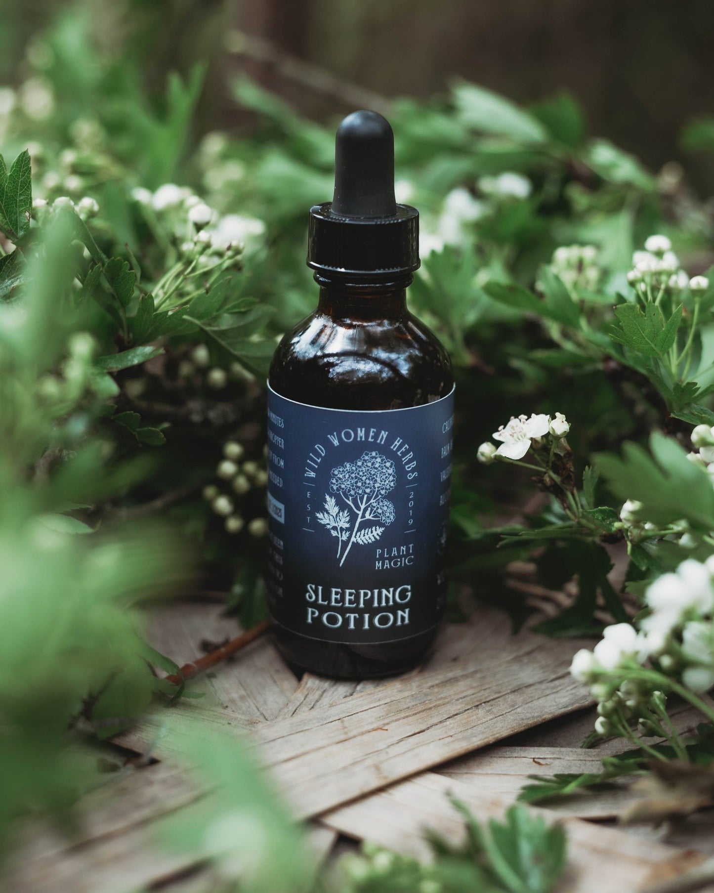 Sleeping Potion