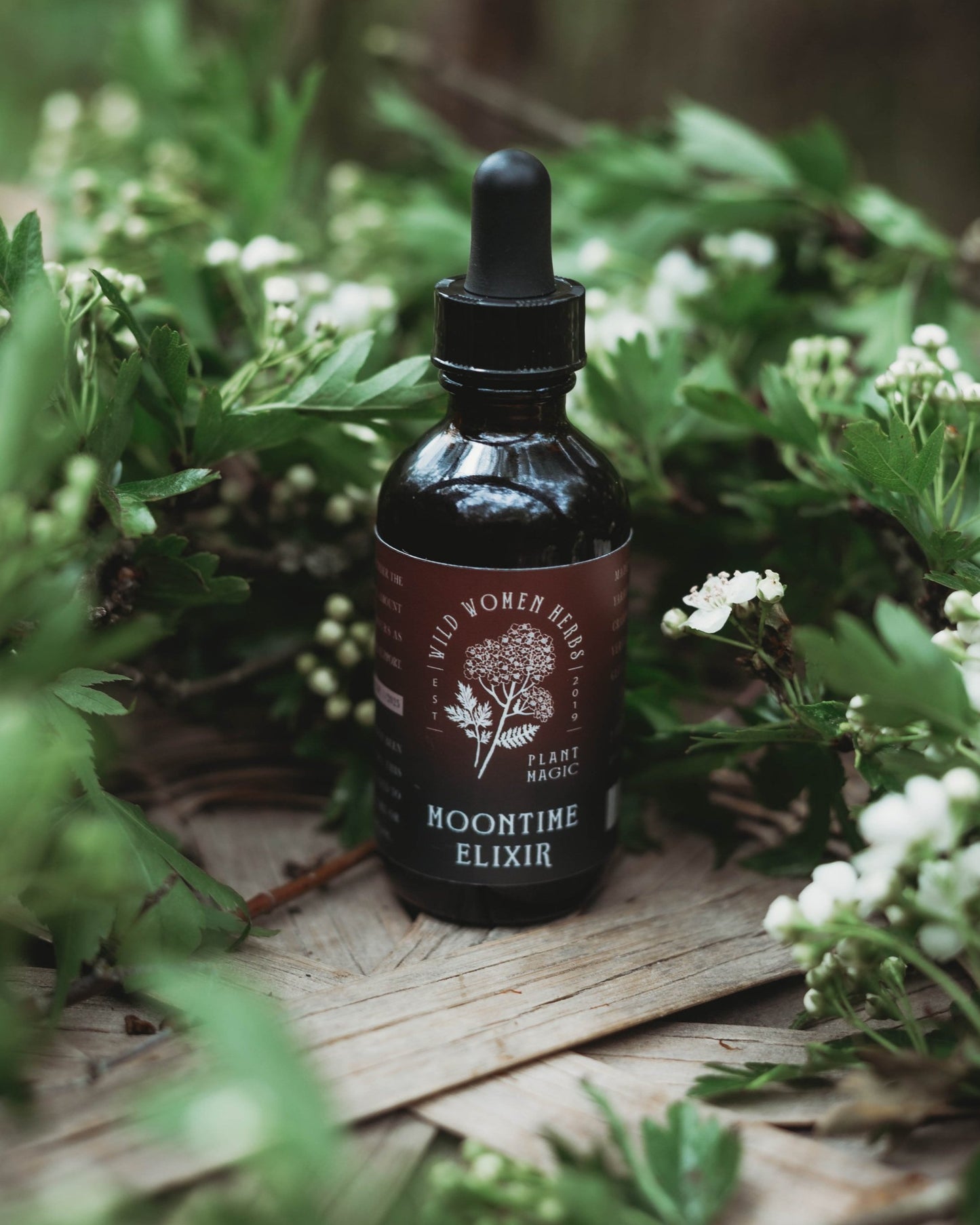Moontime Elixir