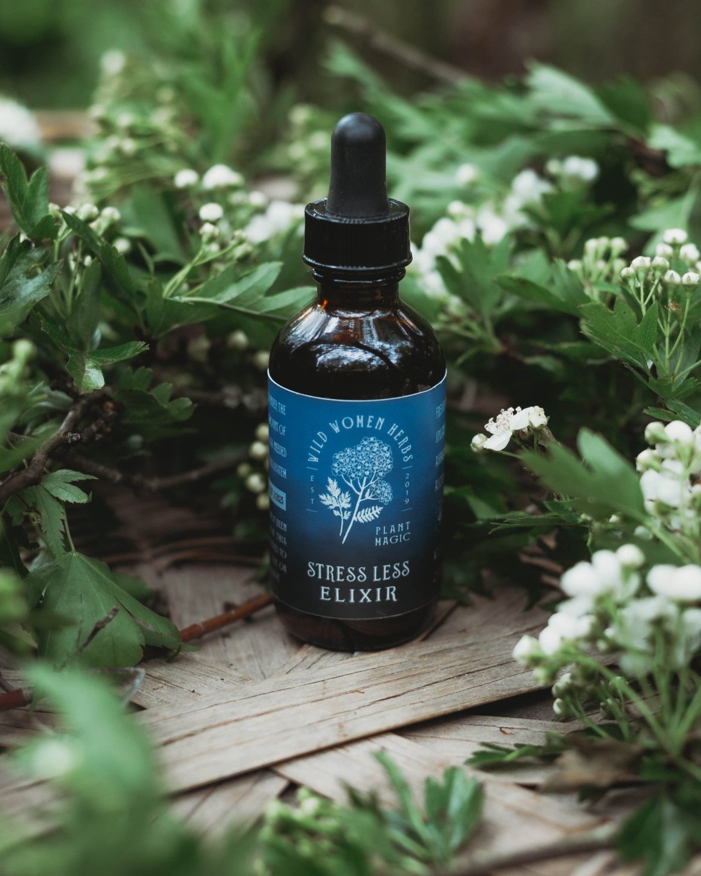 Stress Less Elixir