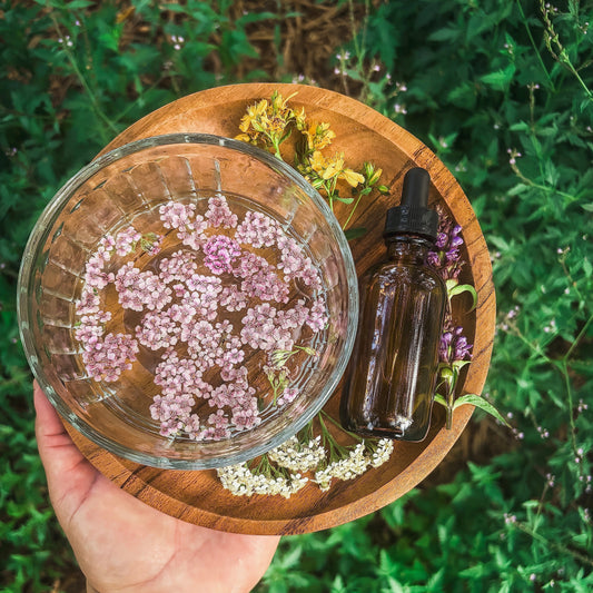 An Introduction to Flower Essences