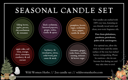 Seasonal Candle Kit - 2oz tins