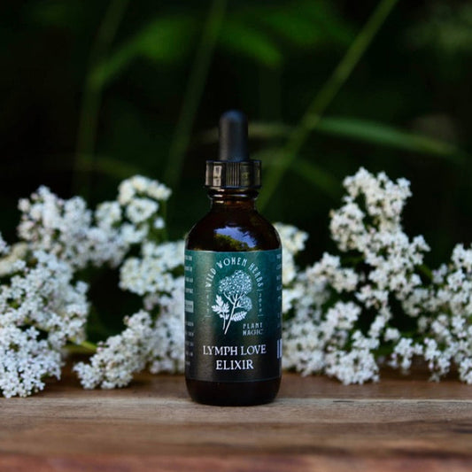 Lymph Love Elixir