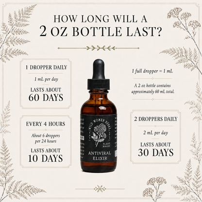 Antiviral Elixir for Immune System Support