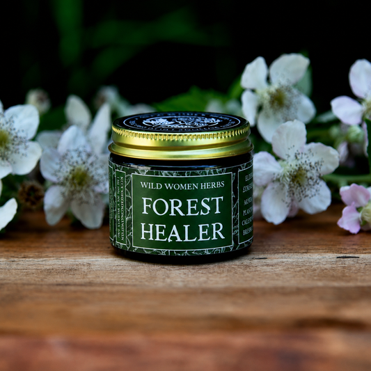 Forest Healer Salve for First Aid & Irritated Skin