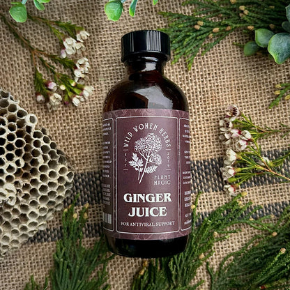 Ginger Juice for Immune & Digestive Support