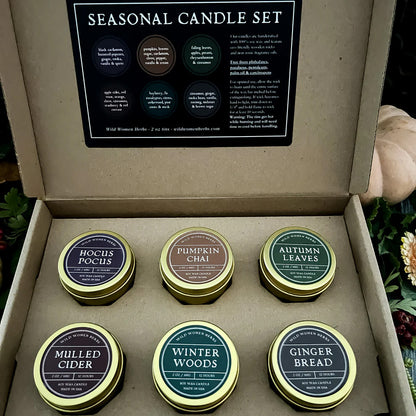 Seasonal Candle Kit - 2oz tins