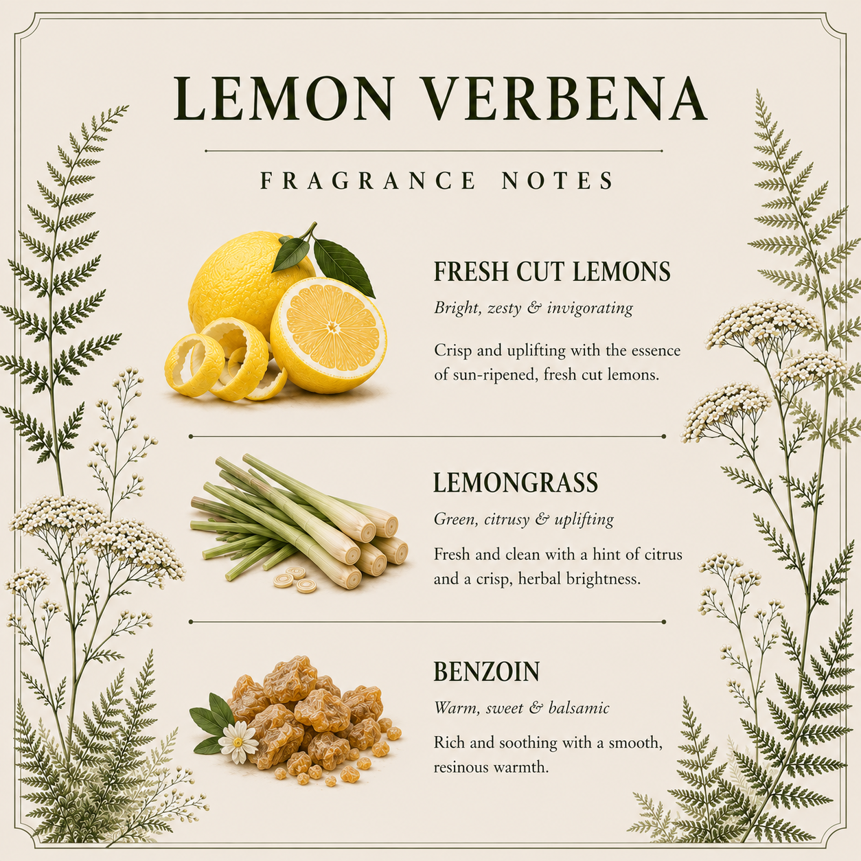 Lemon Verbena Candle – Fresh Citrus & Lemongrass