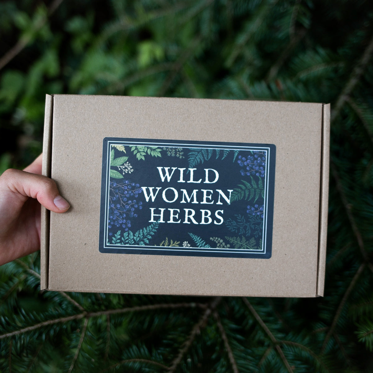Candle Discovery Kit