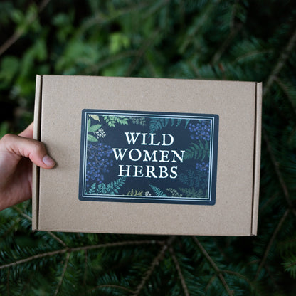 Candle Discovery Kit