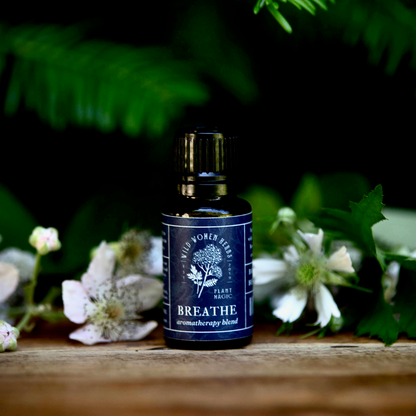 Breathe Aromatherapy Blend