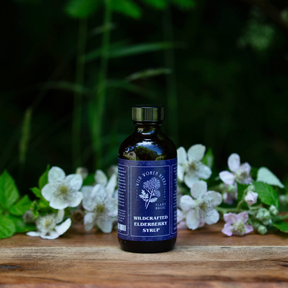 Wildcrafted Elderberry Syrup for Immune Support & Seasonal Wellness