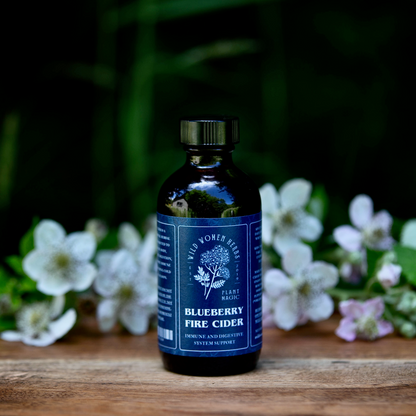 Blueberry Fire Cider for Immune Health & Digestive Wellness