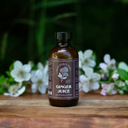 Ginger Juice for Immune & Digestive Support