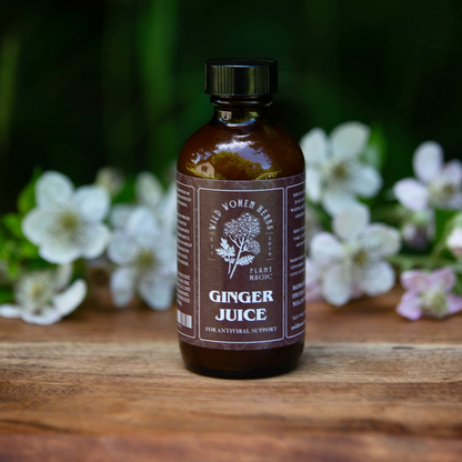 Ginger Juice for Immune & Digestive Support
