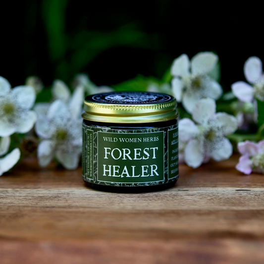 Forest Healer Salve